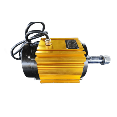 TYJX-1100 permanent magnet brushless variable frequency motor